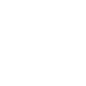 Blume 03